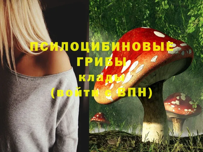 Псилоцибиновые грибы Psilocybine cubensis  даркнет сайт  Азов 